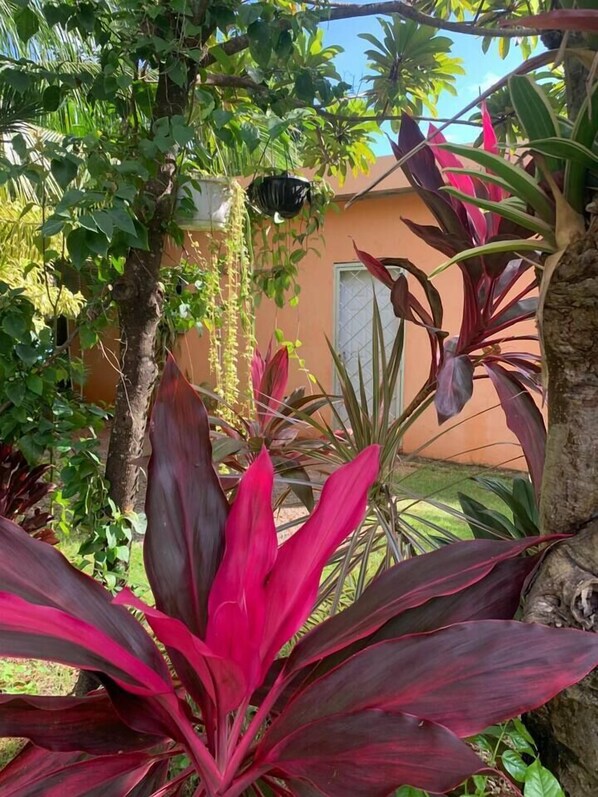 Détail de l’extérieur