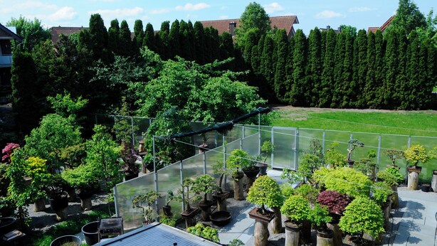 A rooftop garden with various potted plants and a clear view of the surrounding buildings.