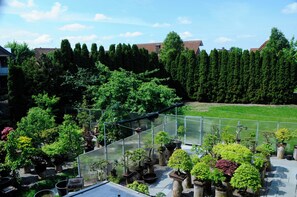 A rooftop garden with various potted plants and a clear view of the surrounding buildings.