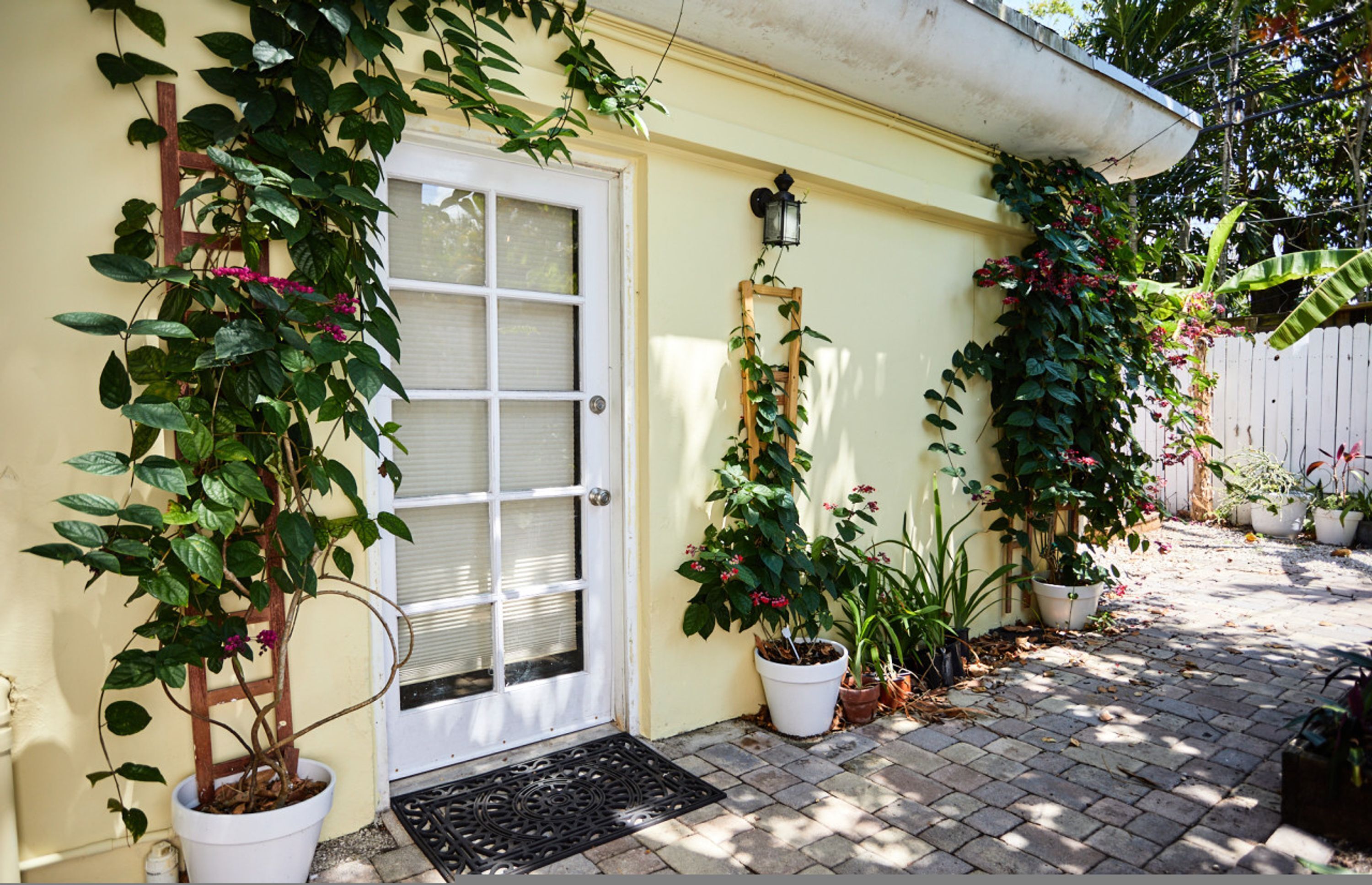 A house with a white door, potted plants, and a wooden ladder leaning against the wall.