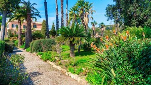 A garden path leading to a building with a tiled roof, surrounded by palm trees and various shrubs. - Villa la Cicaliera 10, Emma Villas (Sanremo)
