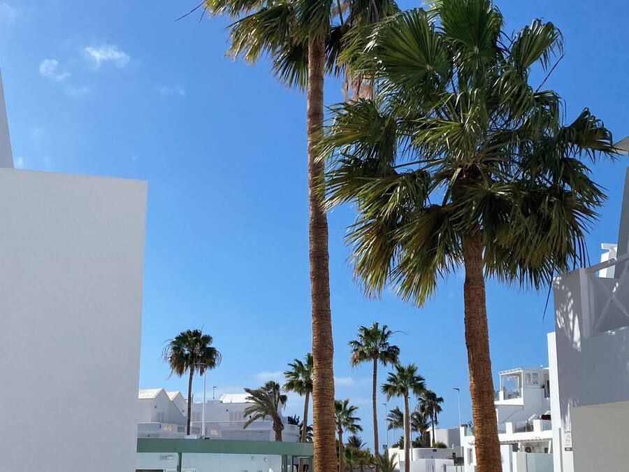 Ein Resort-Poolbereich mit Palmen, blauem Himmel und modernen weißen Gebäuden.