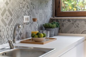 Fridge, microwave, stovetop, coffee/tea maker