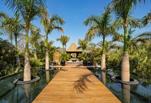 Un sentier en bois mène à un bâtiment entouré de palmiers et agrémenté d’éléments aquatiques.