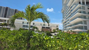 A modern building with balconies and a palm tree in the foreground. - Marea Puerto Cancun, luxury+comfort+the best view (Cancún)