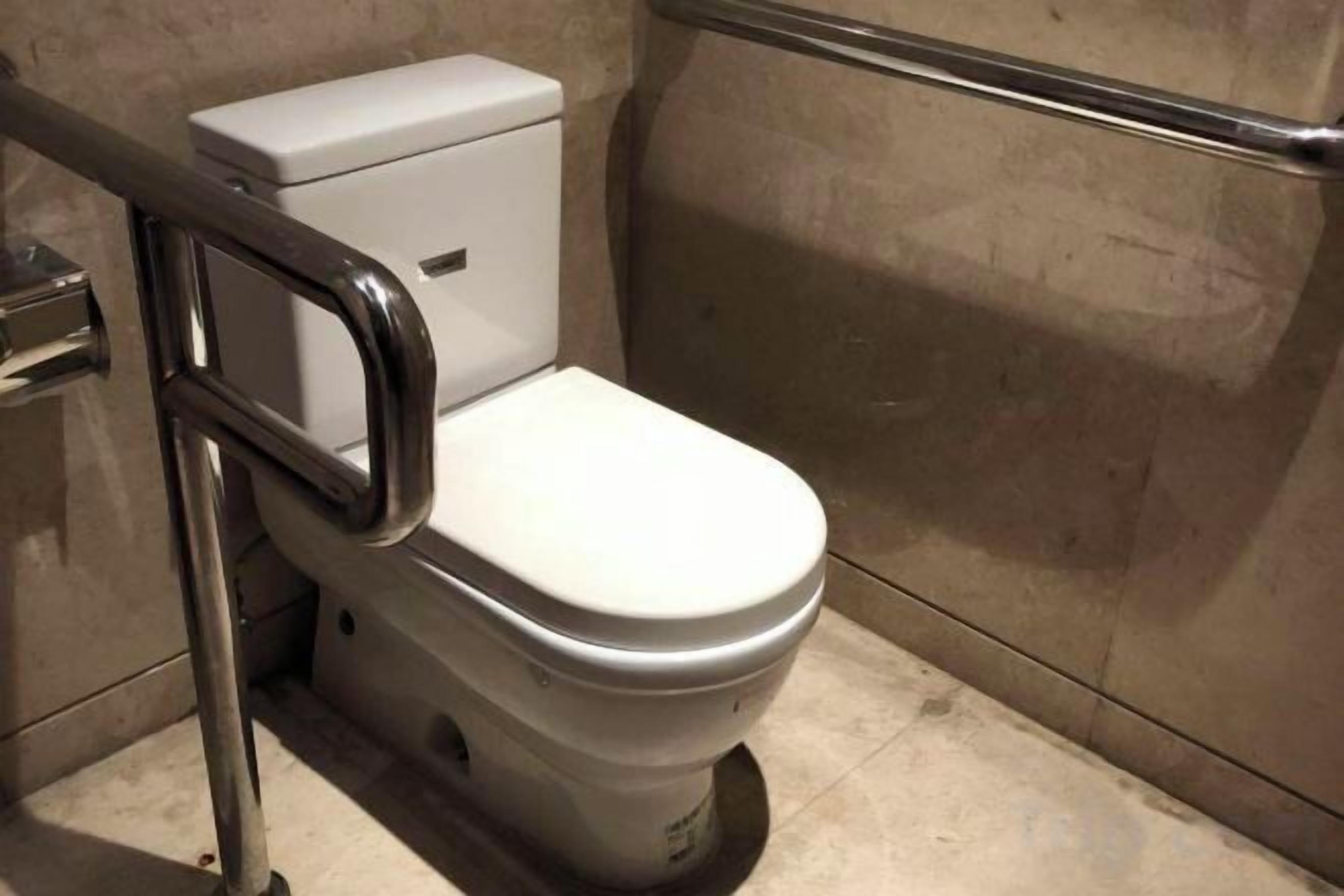 A standard toilet with a handrail, a white seat, and a wall-mounted flush handle.