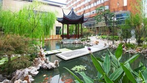 A tranquil indoor garden with a koi pond, a traditional pavilion, and lush greenery.