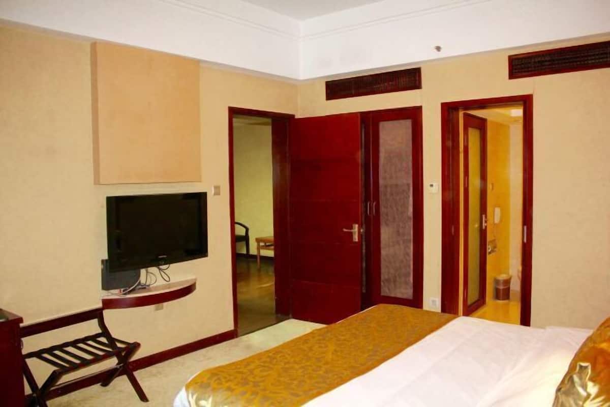 Habitación de hotel con cama, televisión, escritorio y silla. Hay dos puertas y un espejo.