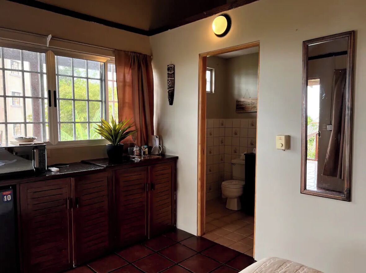 A compact kitchen with a window, a sink, cabinets, and a potted plant.