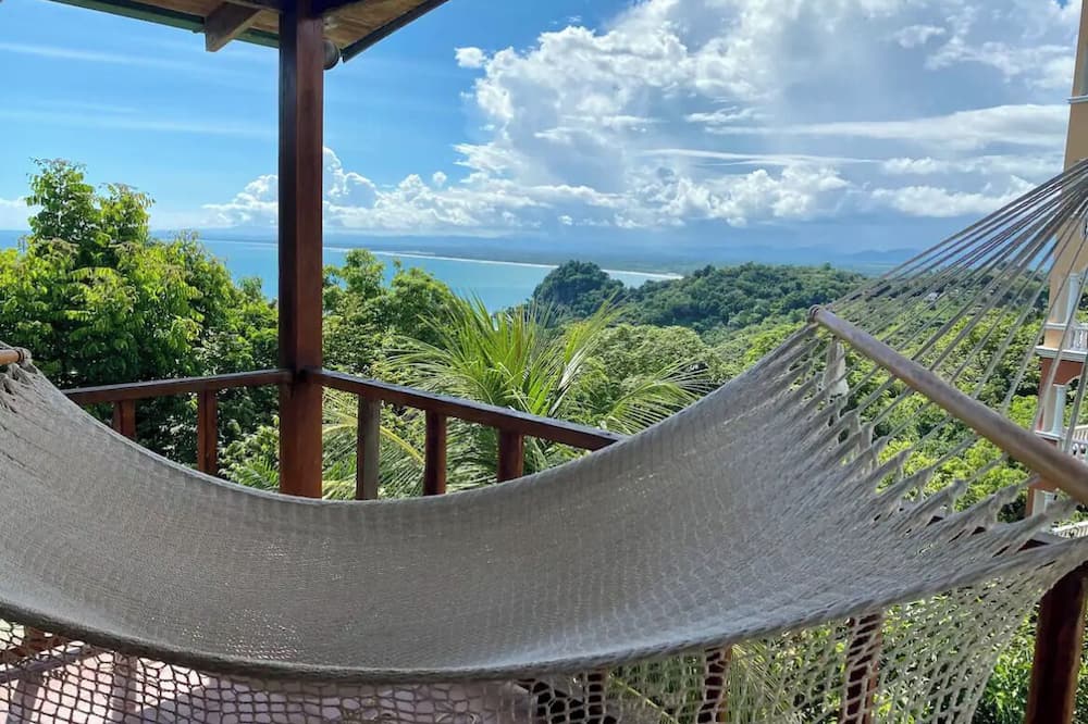 Mi Zaru Sea View Animal Paradise