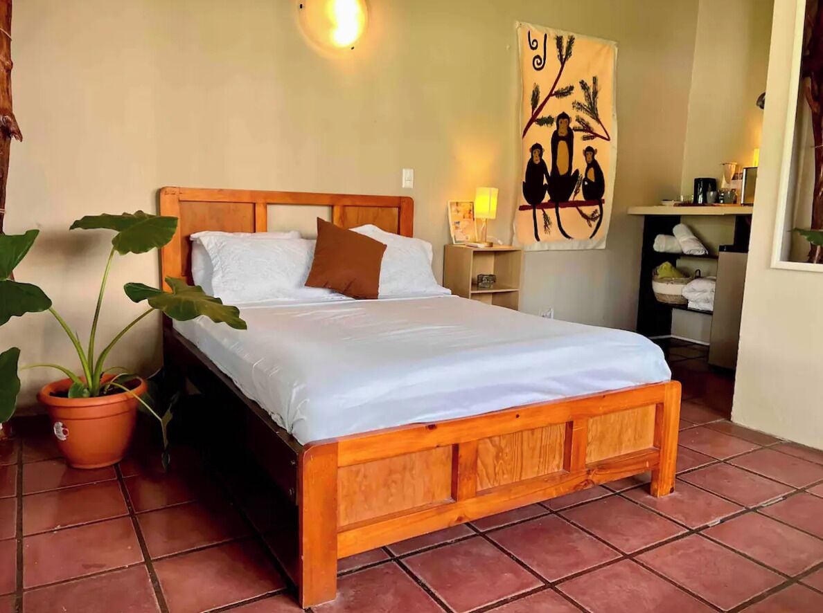 A wooden bed with white bedding, a brown pillow, and a potted plant beside it.