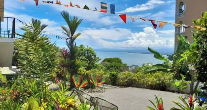 Mi Zaru Sea View Animal Paradise