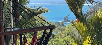 Mi Zaru Sea View Animal Paradise