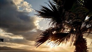 A sunset view over the ocean with a palm tree and a paved walkway. - Home2Book Modern Studio in Las Palmas, Only Adults (Las Palmas de Gran Canaria)