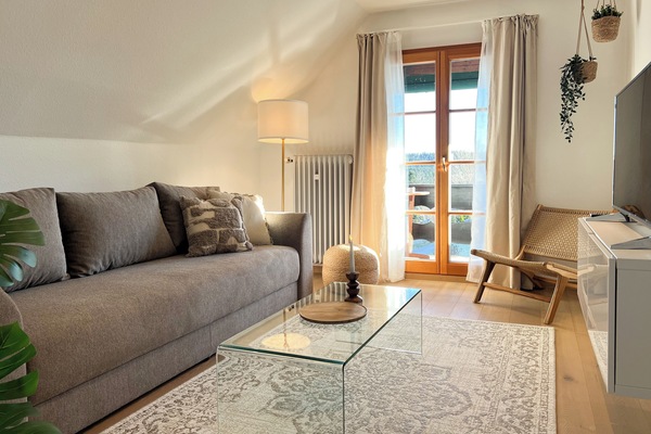Panoramic Apartment, Lake View | Living area | 40-inch Smart TV with satellite channels, Netflix, streaming services