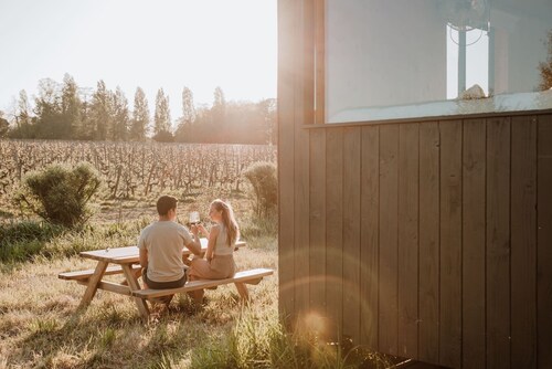 Tiny House in the heart of an organic Saint Emilion vineyard