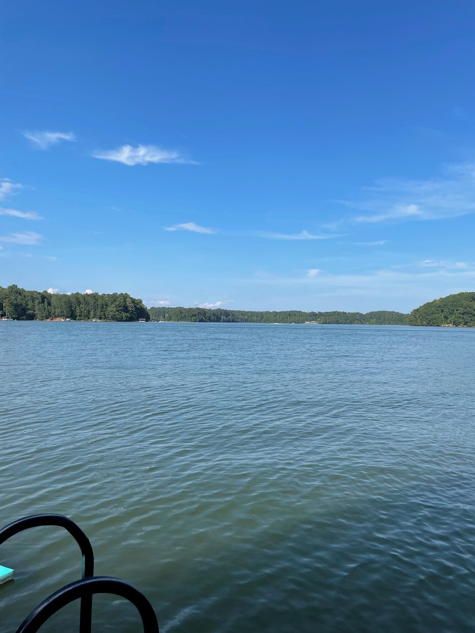 A calm lake with a clear sky and distant tree-covered land.