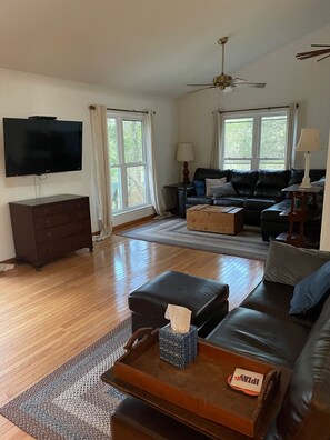 Smart TV, fireplace, DVD player, books