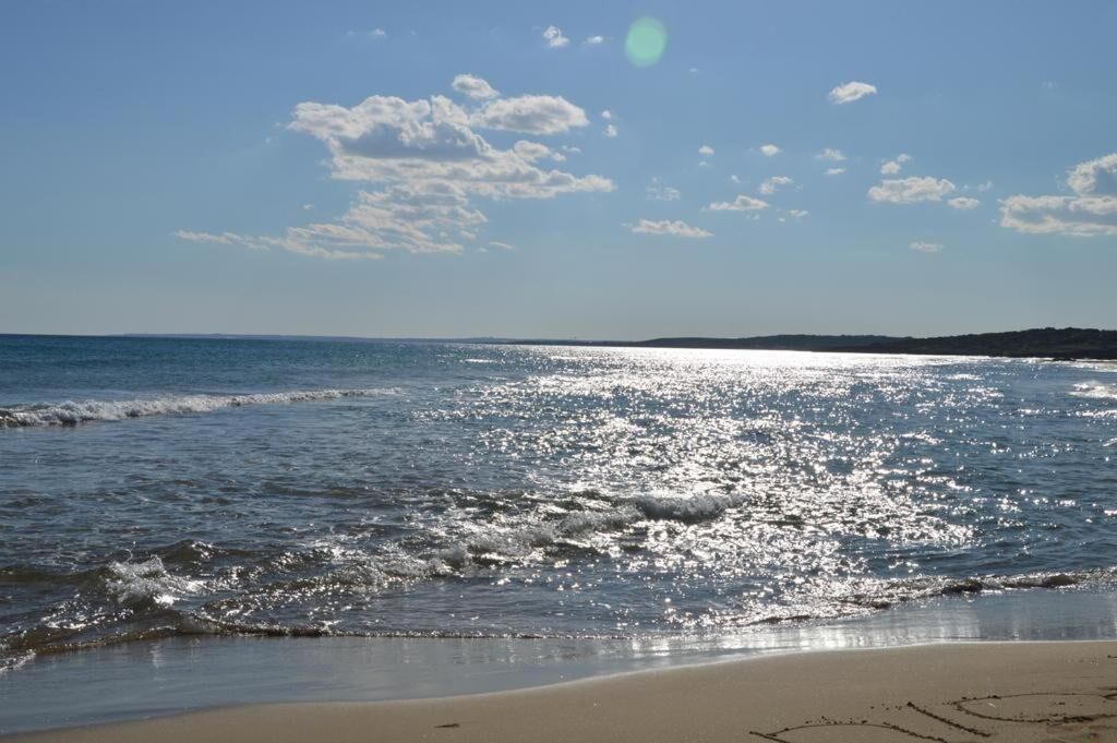 A beach with clear skies and sunlight reflecting on the water.
