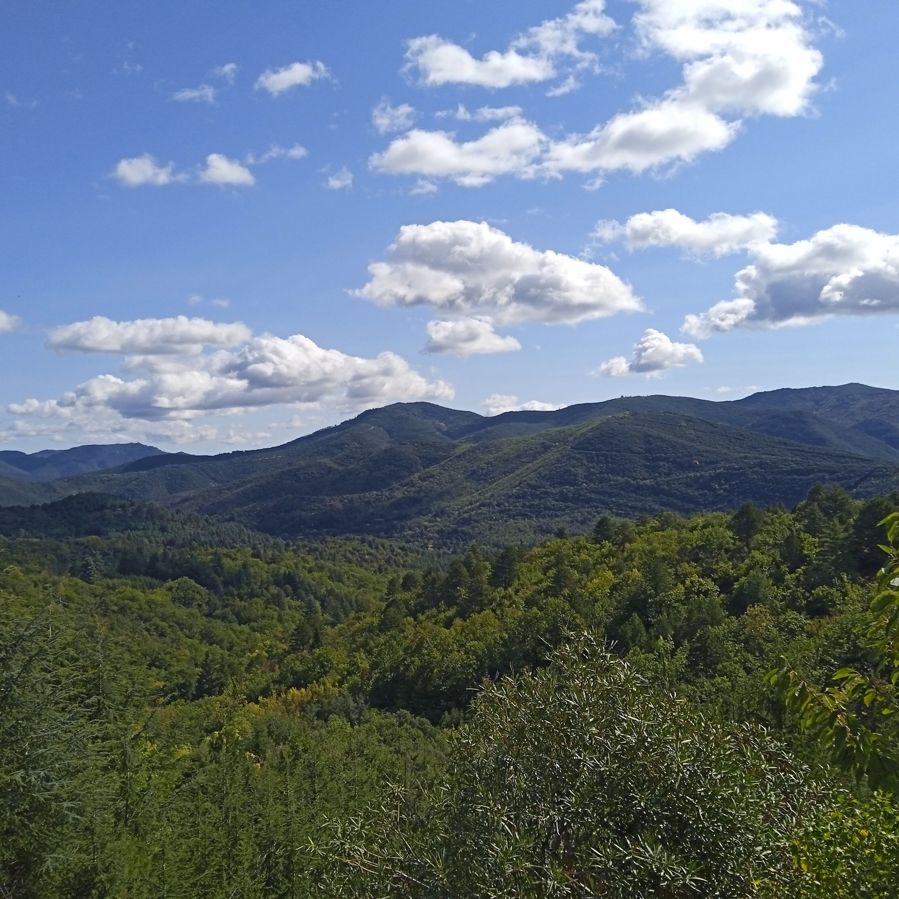 A mountainous landscape with dense forests and a clear sky.