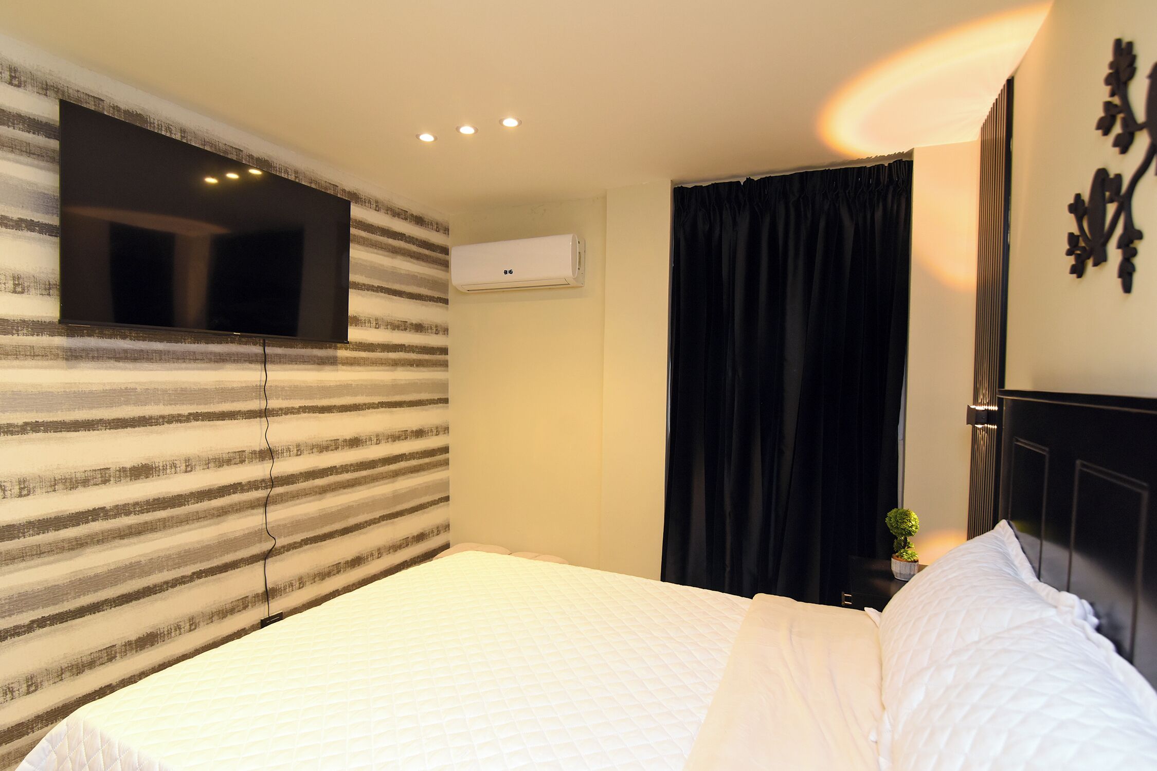 A hotel room with a large bed, a mounted TV, an air conditioning unit, a dark curtain, and a small plant on the nightstand.