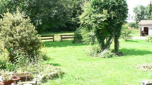 A garden with a brick wall, potted plants, and a wooden fence in the background. - Green pearl vacation apartment (Nenndorf)