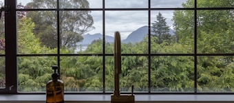 The Cougar Den Tofino