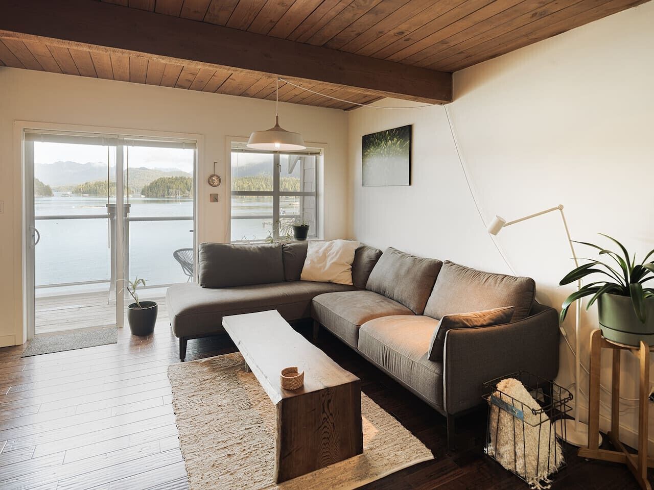 TV, fireplace, books