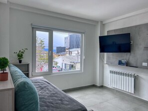 Moderni huone, jossa on suuri ikkuna, taulutelevisio, patteri ja ruukussa oleva kasvi.