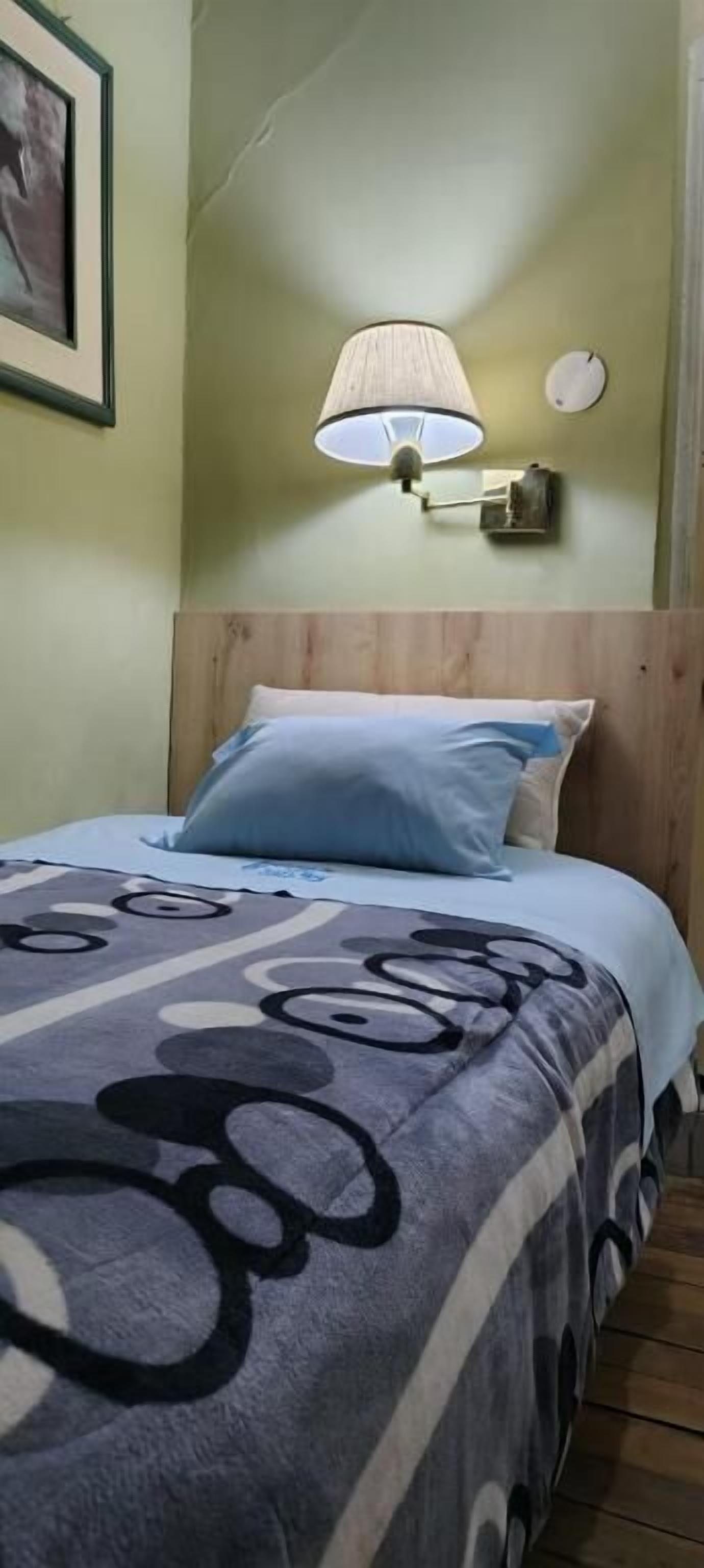A bed with a patterned blanket, a wall-mounted lamp, and a framed picture.