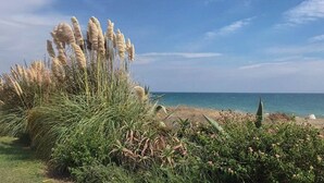 A coastal landscape with a grassy area, some flowering plants, and a view of the sea. - Three Bedroom Townhouse 100 meters from the Beach! (Playa del Sol Villacana)