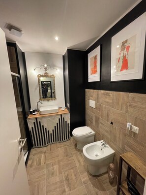 Shower, hair dryer, bidet, towels