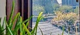 Spacious 4-bedroom house in lovely Wexford with WiFi