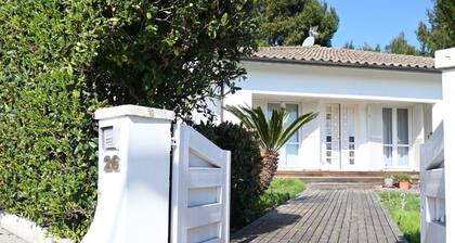 Villa Lyla - Marcelli, elegant villa with garden overlooking the sea