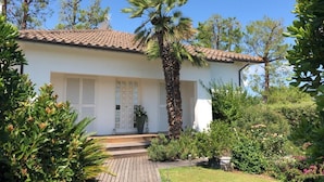 Una casa con techo de tejas, una palmera y un jardín con diversas plantas.