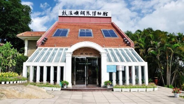 未分類圖片，第 1 張 (共 98 張)，按鈕
