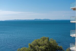 Vista des de l'allotjament