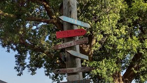 A wooden signpost with directional signs pointing to various destinations. - "That 70's Cottage" (on Lake Erie!) Free Firewood! (Essex)
