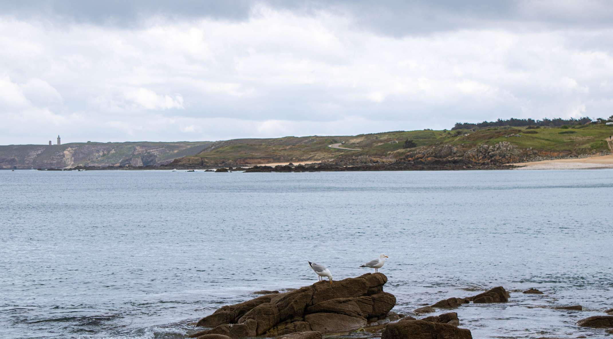 A coastal landscape with rocky outcrops and a lighthouse in the distance.
