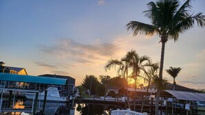 A marina with boats docked, a white fence, and palm trees.