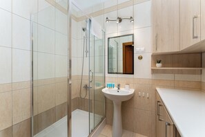 Shower, hair dryer, towels