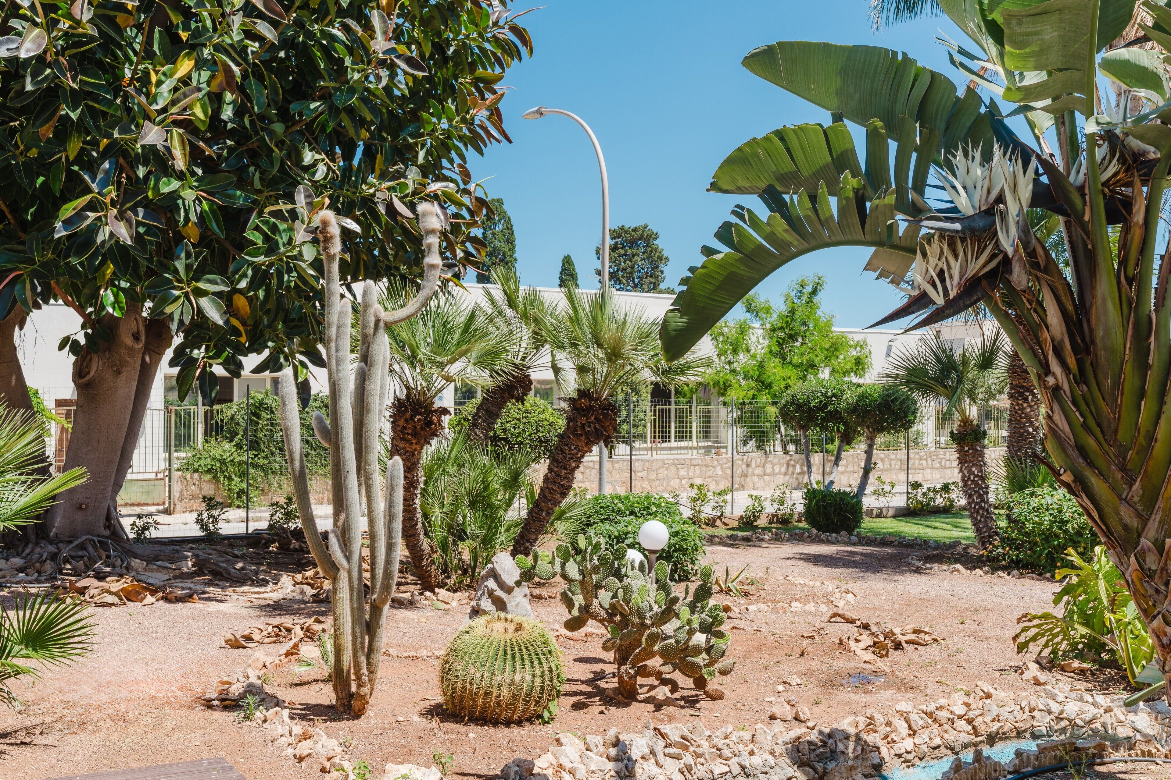 Parco della struttura