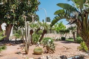 A desert garden with cacti, palm trees, and a street lamp. - Apartment 'Kairos' with Shared Pool, Wi-Fi and Air Conditioning (San Vito Lo Capo)