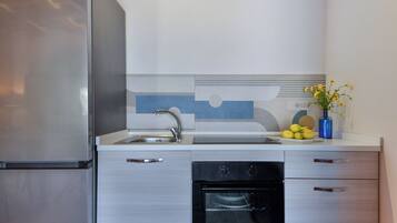 Fridge, oven, stovetop, cookware/dishes/utensils