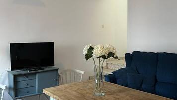 Televisor i llar de foc