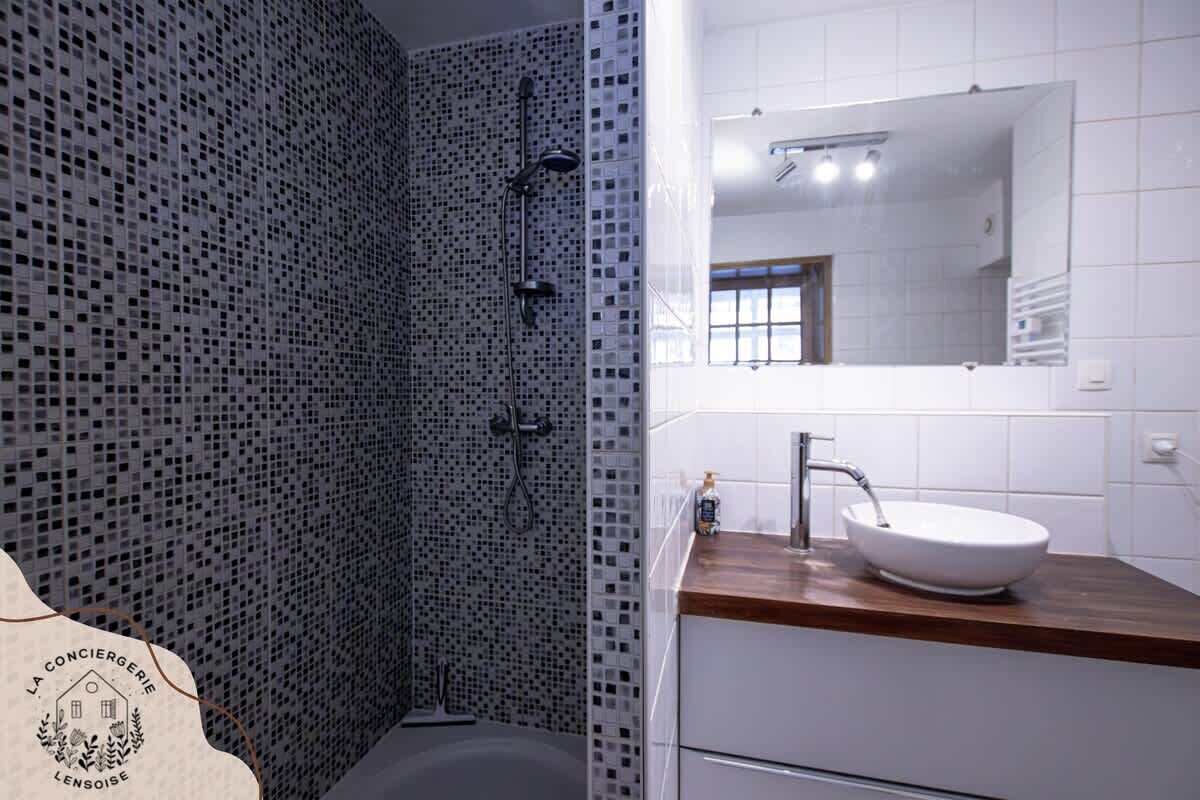 Shower, hair dryer, toilet paper