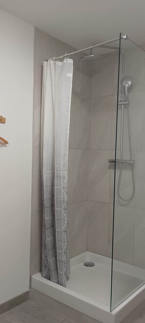 Regadera y secadora de cabello 