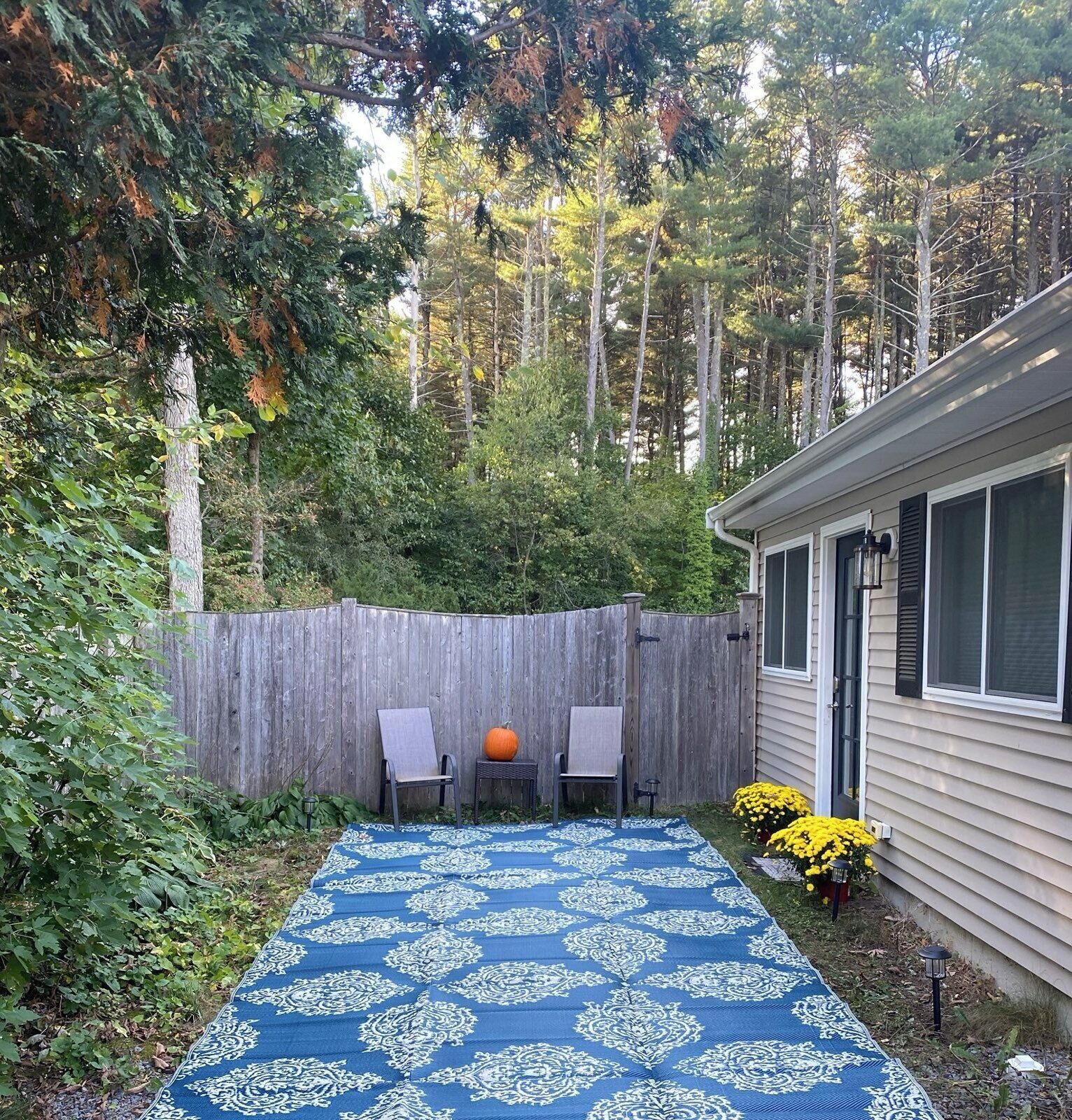 Een achtertuin met een blauw patroon tapijt, twee stoelen, een houten schutting en een huis.