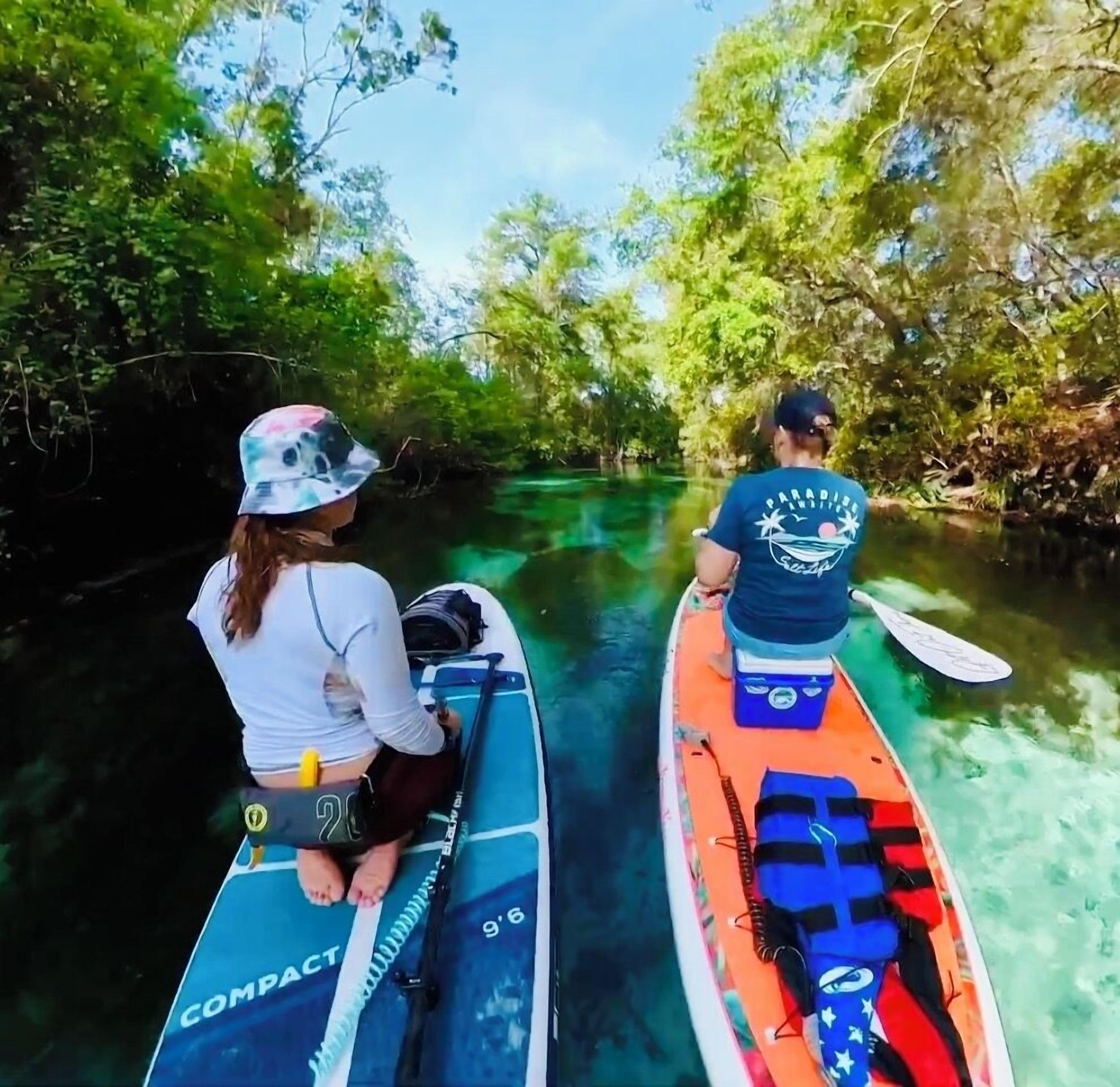 Come to Weeki Wachee Springs and kayak with the manatees!