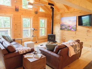 Smart TV, fireplace, video games, books